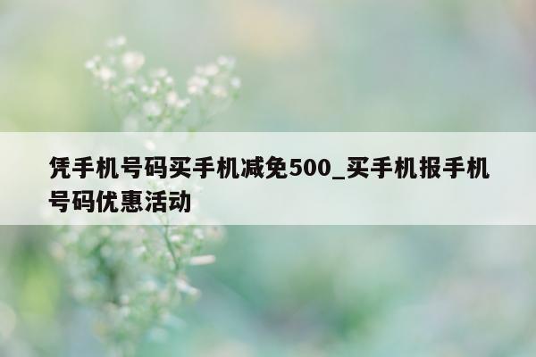 凭手机号码买手机减免 500_买手机报手机号码优惠活动 - 第 1 张图片 - 小城生活