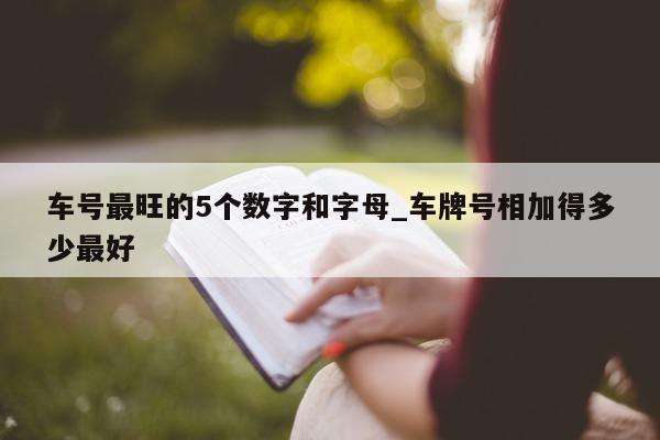 车号最旺的 5 个数字和字母_车牌号相加得多少最好 - 第 1 张图片 - 小城生活