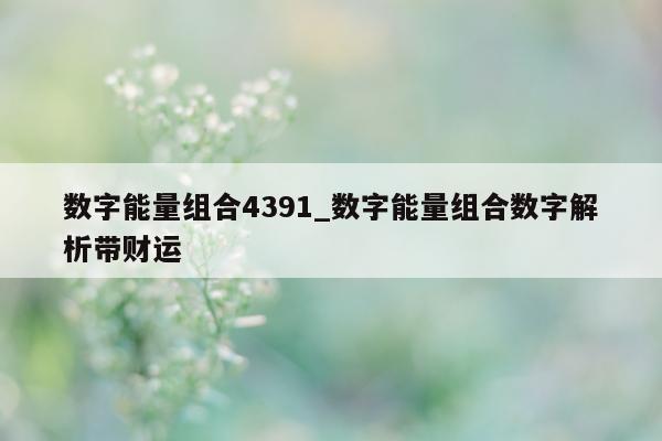 数字能量组合 4391_数字能量组合数字解析带财运 - 第 1 张图片 - 小城生活