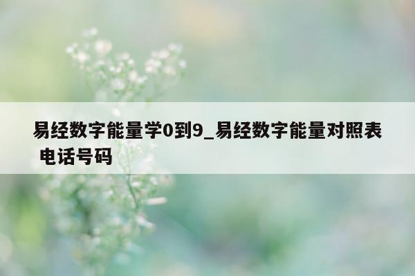 易经数字能量学 0 到 9_易经数字能量对照表 电话号码 - 第 1 张图片 - 小城生活