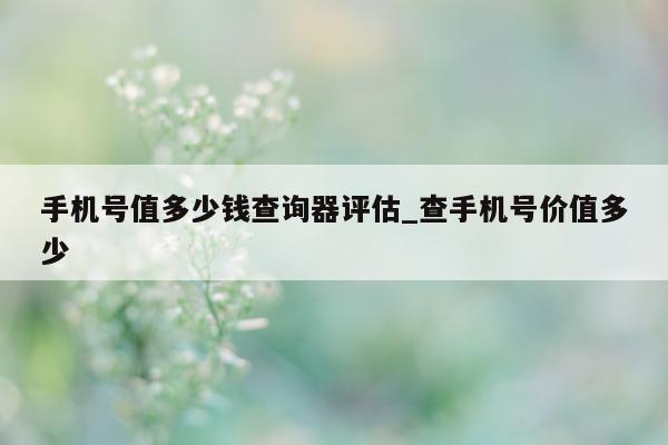 手机号值多少钱查询器评估_查手机号价值多少 - 第 1 张图片 - 小城生活