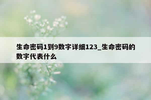 生命密码 1 到 9 数字详细 123_生命密码的数字代表什么 - 第 1 张图片 - 小城生活