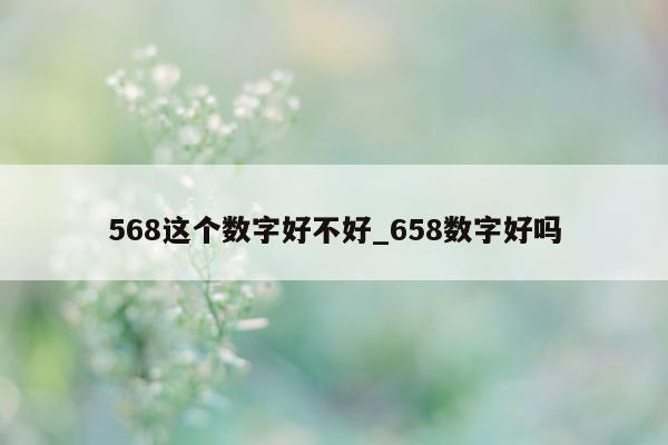 568 这个数字好不好_658 数字好吗 - 第 1 张图片 - 小城生活