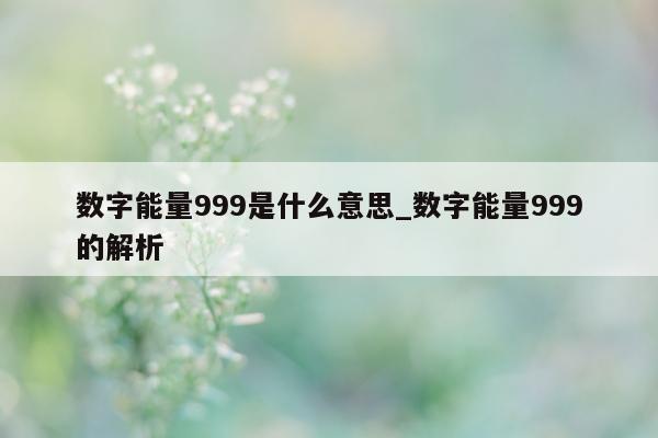 数字能量 999 是什么意思_数字能量 999 的解析 - 第 1 张图片 - 小城生活