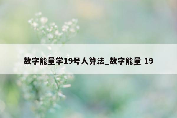 数字能量学 19 号人算法_数字能量 19- 第 1 张图片 - 小城生活