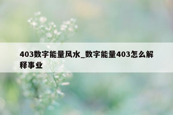 403 数字能量风水_数字能量 403 怎么解释事业 - 第 1 张图片 - 小城生活