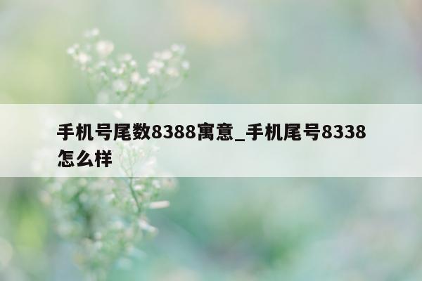 手机号尾数 8388 寓意_手机尾号 8338 怎么样 - 第 1 张图片 - 小城生活