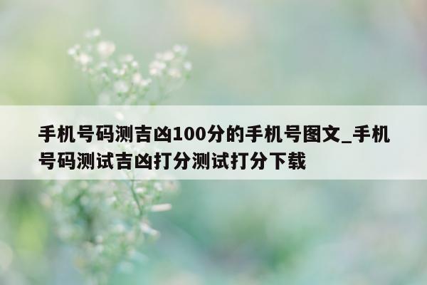 手机号码测吉凶 100 分的手机号图文_手机号码测试吉凶打分测试打分下载 - 第 1 张图片 - 小城生活