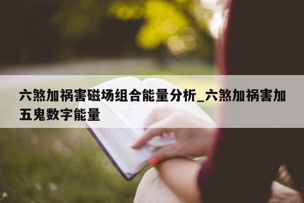 六煞加祸害磁场组合能量分析_六煞加祸害加五鬼数字能量 - 第 1 张图片 - 小城生活