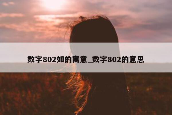 数字 802 如的寓意_数字 802 的意思 - 第 1 张图片 - 小城生活