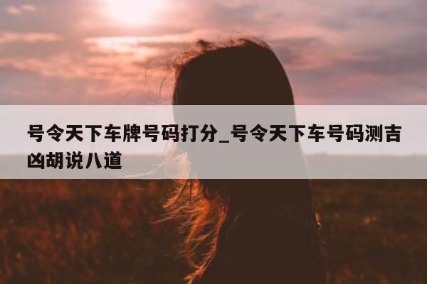 号令天下车牌号码打分_号令天下车号码测吉凶胡说八道 - 第 1 张图片 - 小城生活