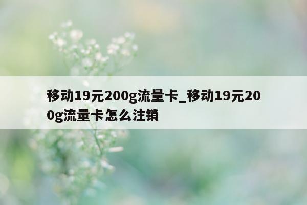 移动 19 元 200g 流量卡_移动 19 元 200g 流量卡怎么注销 - 第 1 张图片 - 小城生活