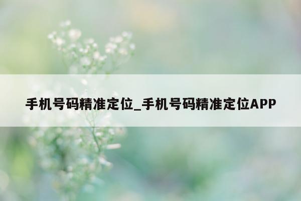 手机号码精准定位_手机号码精准定位 APP- 第 1 张图片 - 小城生活