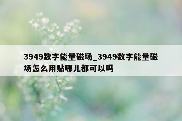 3949 数字能量磁场_3949 数字能量磁场怎么用贴哪儿都可以吗 - 第 1 张图片 - 小城生活