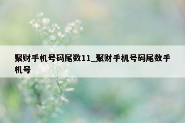 聚财手机号码尾数 11_聚财手机号码尾数手机号 - 第 1 张图片 - 小城生活