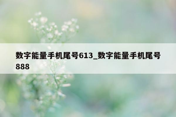 数字能量手机尾号 613_数字能量手机尾号 888- 第 1 张图片 - 小城生活