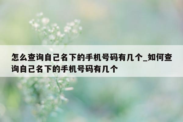 怎么查询自己名下的手机号码有几个_如何查询自己名下的手机号码有几个 - 第 1 张图片 - 小城生活