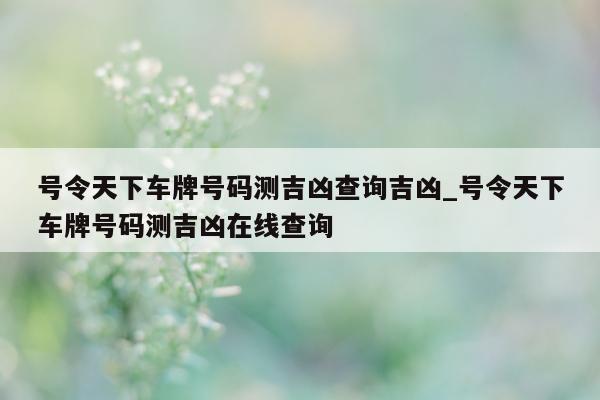 号令天下车牌号码测吉凶查询吉凶_号令天下车牌号码测吉凶在线查询 - 第 1 张图片 - 小城生活