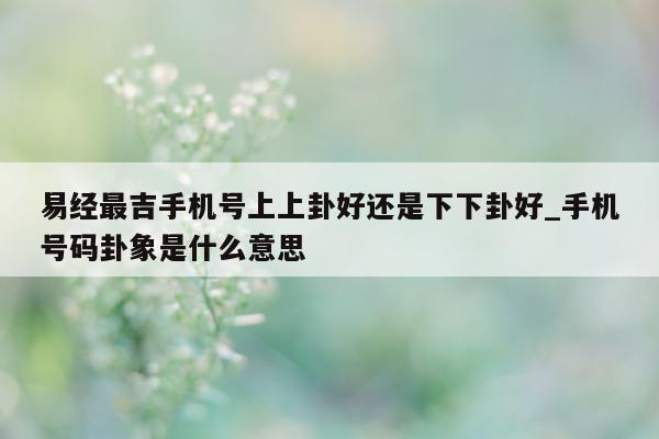 易经最吉手机号上上卦好还是下下卦好_手机号码卦象是什么意思 - 第 1 张图片 - 小城生活