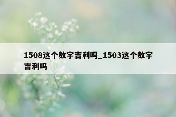 1508 这个数字吉利吗_1503 这个数字吉利吗 - 第 1 张图片 - 小城生活