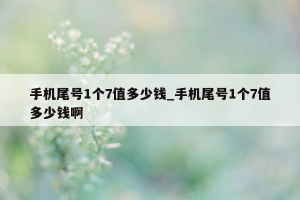 手机尾号 1 个 7 值多少钱_手机尾号 1 个 7 值多少钱啊 - 第 1 张图片 - 小城生活