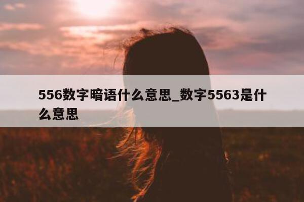 556 数字暗语什么意思_数字 5563 是什么意思 - 第 1 张图片 - 小城生活