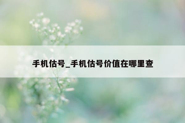 手机估号_手机估号价值在哪里查 - 第 1 张图片 - 小城生活