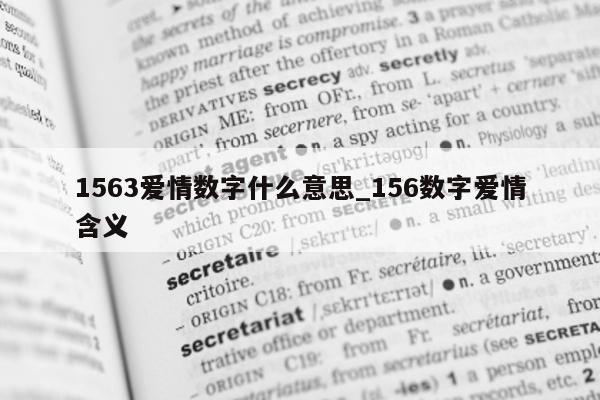 1563 爱情数字什么意思_156 数字爱情含义 - 第 1 张图片 - 小城生活