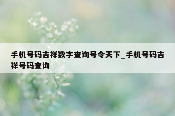 手机号码吉祥数字查询号令天下_手机号码吉祥号码查询 - 第 1 张图片 - 小城生活