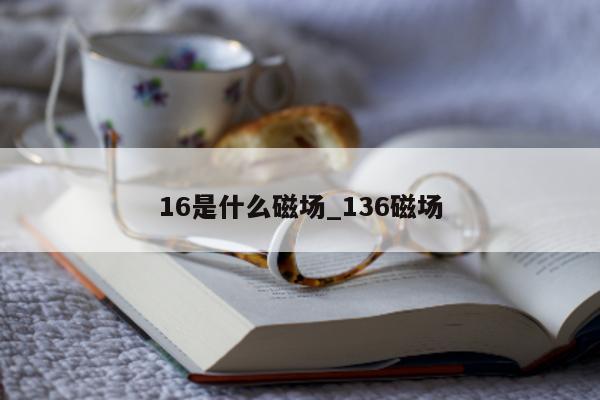 16 是什么磁场_136 磁场 - 第 1 张图片 - 小城生活