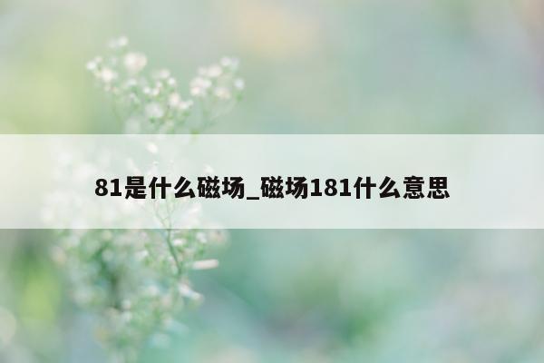 81 是什么磁场_磁场 181 什么意思 - 第 1 张图片 - 小城生活