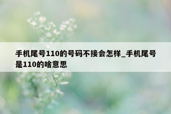 手机尾号 110 的号码不接会怎样_手机尾号是 110 的啥意思 - 第 1 张图片 - 小城生活