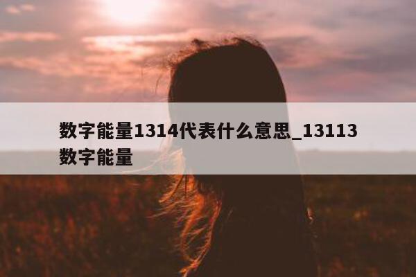 数字能量 1314 代表什么意思_13113 数字能量 - 第 1 张图片 - 小城生活