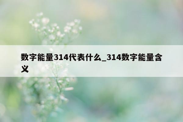 数字能量 314 代表什么_314 数字能量含义 - 第 1 张图片 - 小城生活