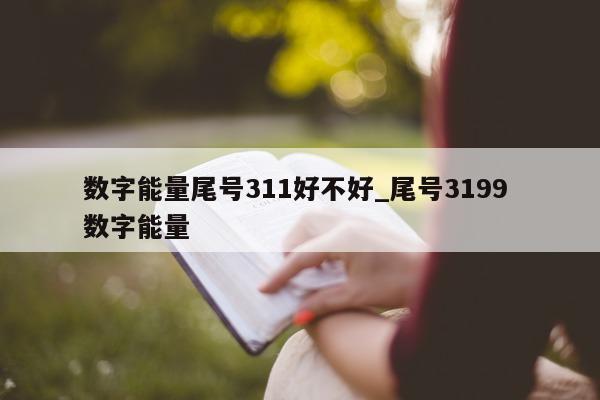 数字能量尾号 311 好不好_尾号 3199 数字能量 - 第 1 张图片 - 小城生活