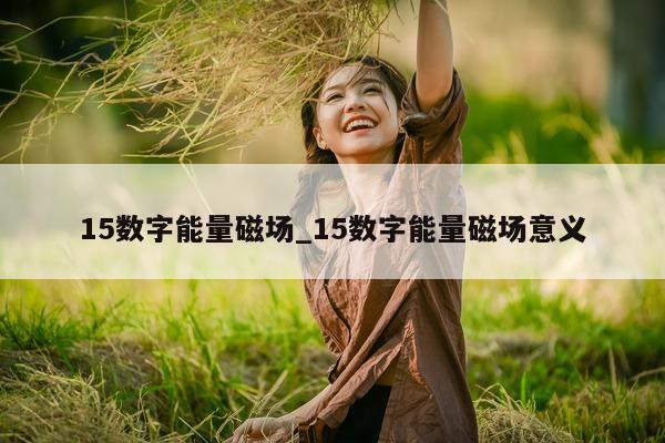 15 数字能量磁场_15 数字能量磁场意义 - 第 1 张图片 - 小城生活