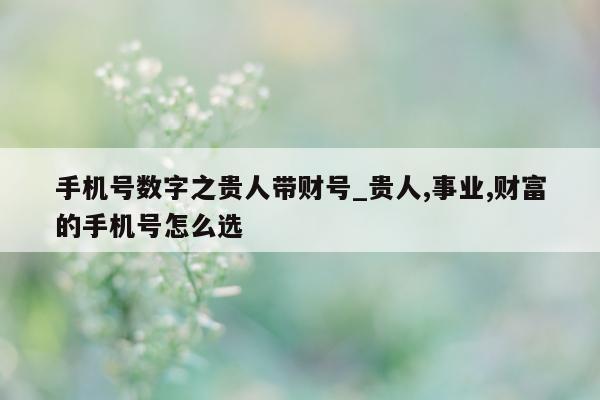 手机号数字之贵人带财号_贵人, 事业, 财富的手机号怎么选 - 第 1 张图片 - 小城生活