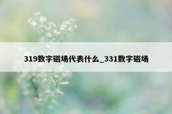 319 数字磁场代表什么_331 数字磁场 - 第 1 张图片 - 小城生活