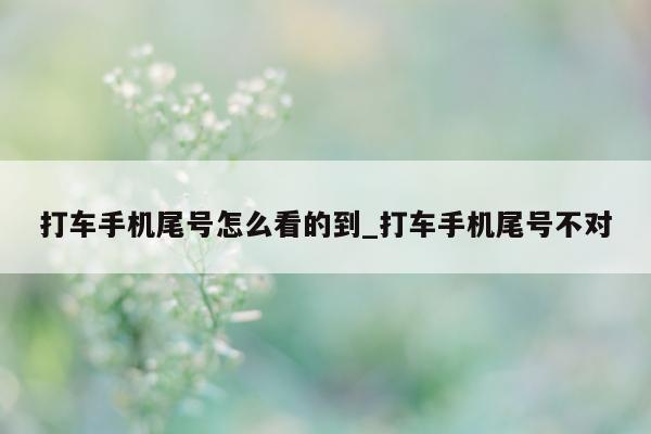 打车手机尾号怎么看的到_打车手机尾号不对 - 第 1 张图片 - 小城生活