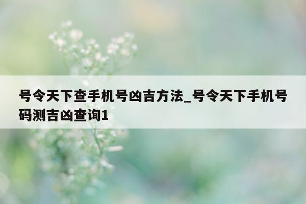 号令天下查手机号凶吉方法_号令天下手机号码测吉凶查询 1 - 第 1 张图片 - 小城生活