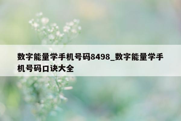 数字能量学手机号码 8498_数字能量学手机号码口诀大全 - 第 1 张图片 - 小城生活