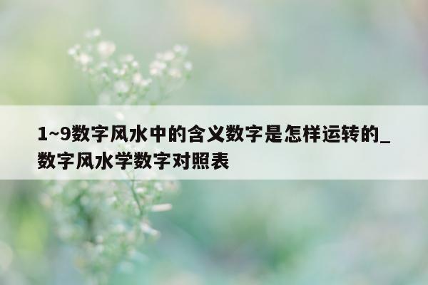 1～9 数字风水中的含义数字是怎样运转的_数字风水学数字对照表 - 第 1 张图片 - 小城生活