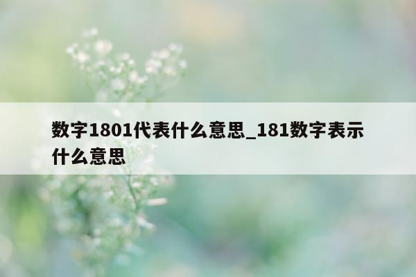 数字 1801 代表什么意思_181 数字表示什么意思 - 第 1 张图片 - 小城生活