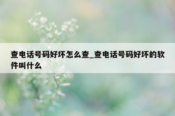 查电话号码好坏怎么查_查电话号码好坏的软件叫什么 - 第 1 张图片 - 小城生活