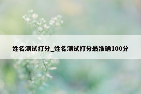 姓名测试打分_姓名测试打分最准确 100 分 - 第 1 张图片 - 小城生活