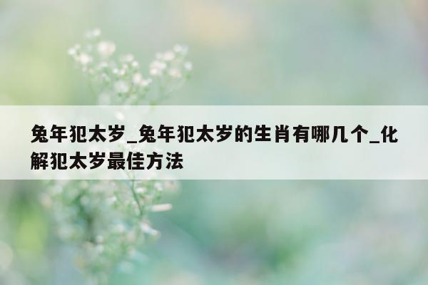 兔年犯太岁_兔年犯太岁的生肖有哪几个_化解犯太岁最佳方法 - 第 1 张图片 - 小城生活