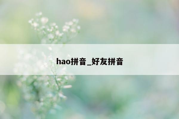 hao 拼音_好友拼音 - 第 1 张图片 - 小城生活