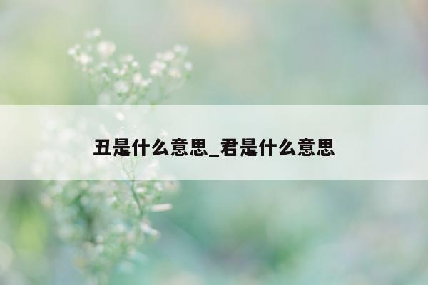 丑是什么意思_君是什么意思 - 第 1 张图片 - 小城生活