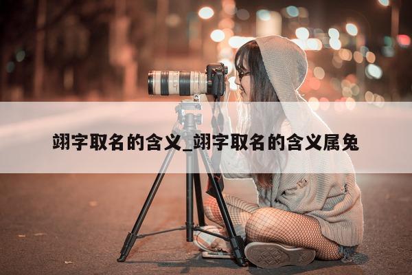 翊字取名的含义_翊字取名的含义属兔 - 第 1 张图片 - 小城生活