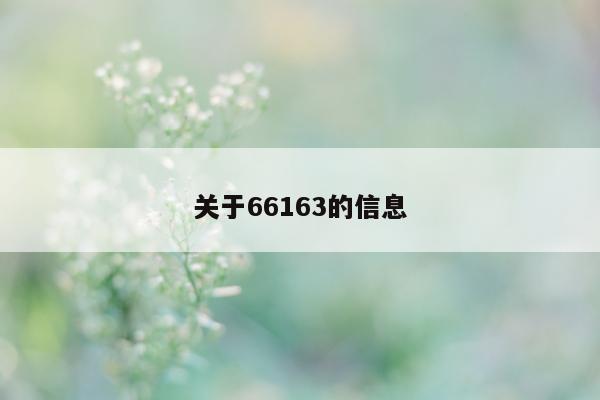 关于 66163 的信息 - 第 1 张图片 - 小城生活